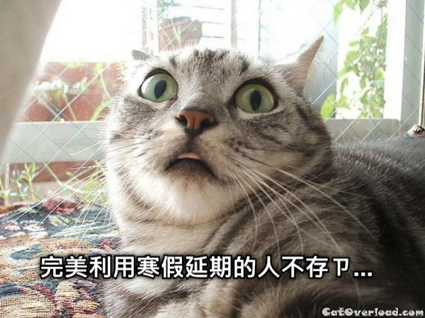 完美利用寒假延期的人不存ㄗ...