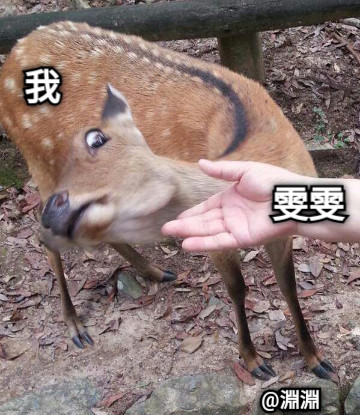 雯雯 我 @淵淵