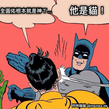 全圓佑根本就是神ㄒ... 他是貓！