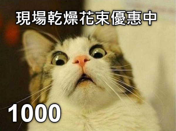 現場乾燥花束優惠中 1000