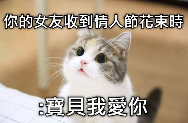 你的女友收到情人節花束時 :寶貝我愛你