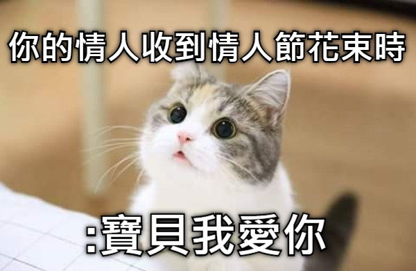 你的情人收到情人節花束時 :寶貝我愛你