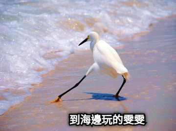 到海邊玩的雯雯