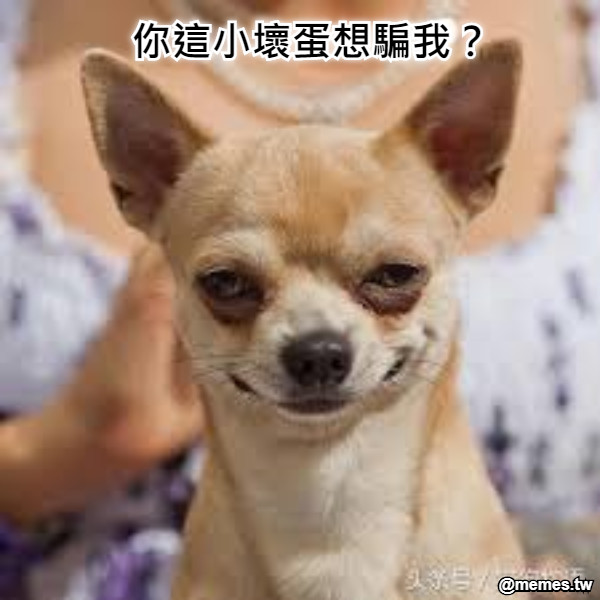你這小壞蛋想騙我？