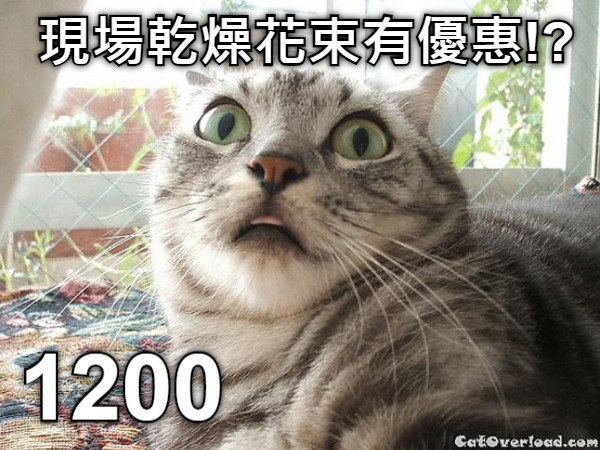 現場乾燥花束有優惠!? 1200
