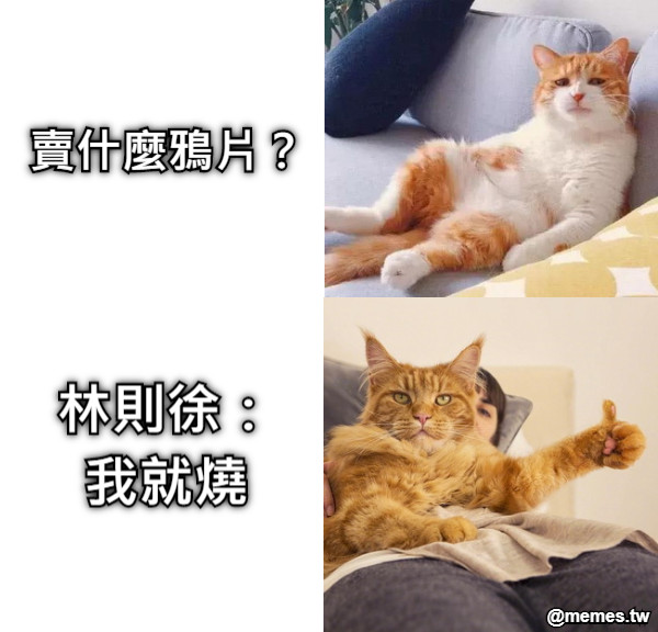 賣什麼鴉片？ 林則徐： 我就燒