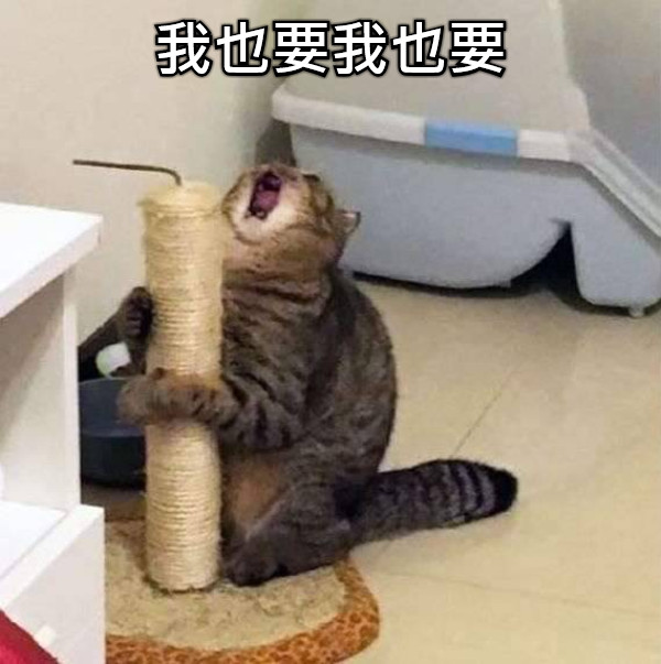 我也要我也要