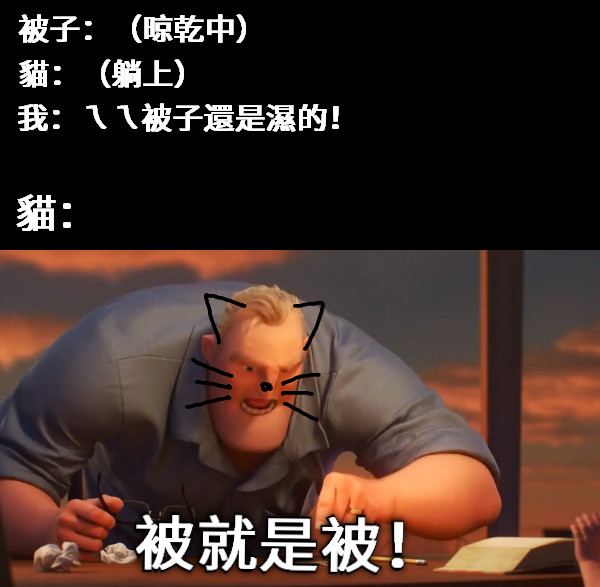 被就是被！ 被子：（晾乾中） 貓：（躺上） 我：ㄟㄟ被子還是濕的！ 貓：