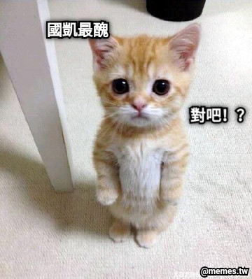 國凱最醜 對吧！？