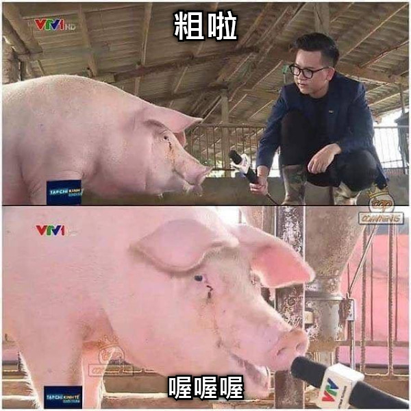 粗啦 喔喔喔