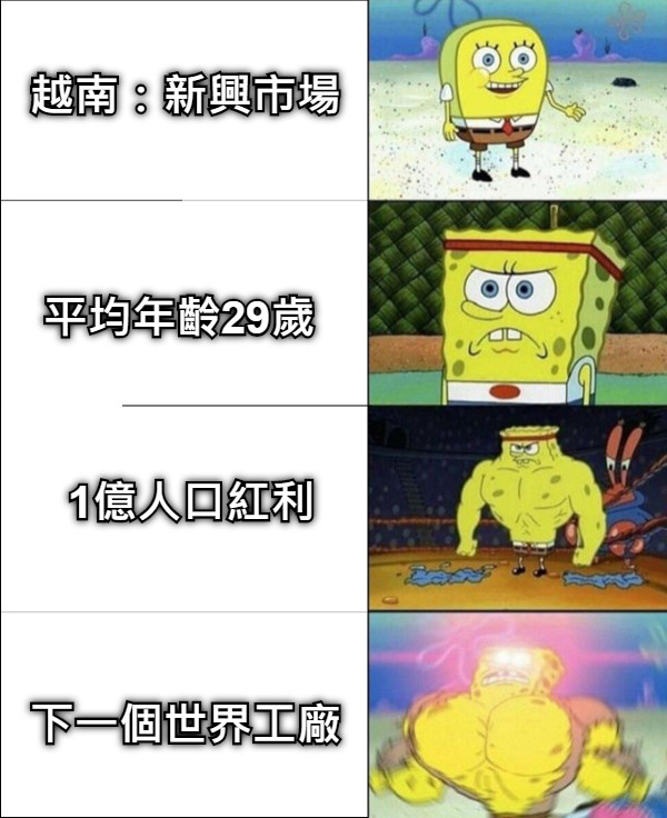 越南：新興市場                            平均年齡29歲 1億人口紅利                           下一個世界工廠