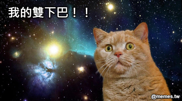 我的雙下巴！！