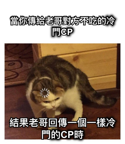 當你傳給老哥對方不吃的冷門CP 結果老哥回傳一個一樣冷門的CP時