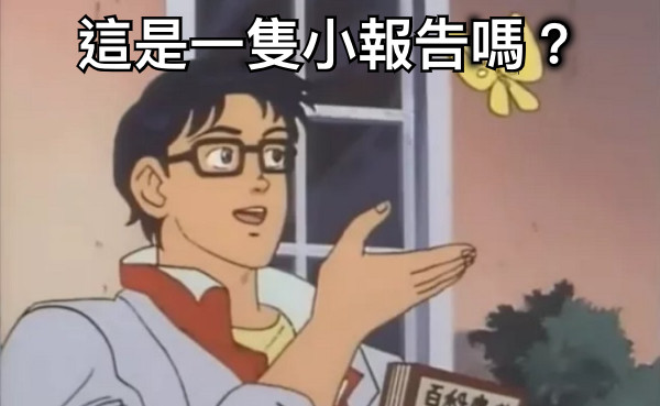 這是一隻小報告嗎？