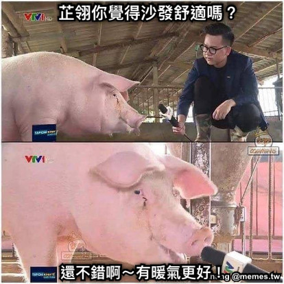 芷翎你覺得沙發舒適嗎？ 還不錯啊～有暖氣更好！