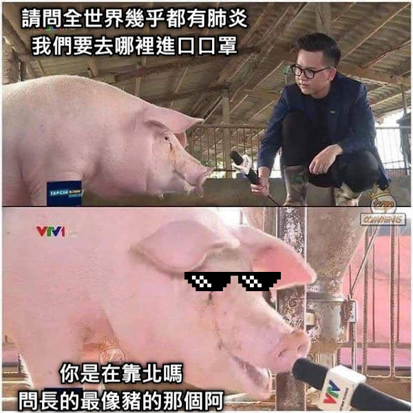 請問全世界幾乎都有肺炎 我們要去哪裡進口口罩 你是在靠北嗎 問長的最像豬的那個阿