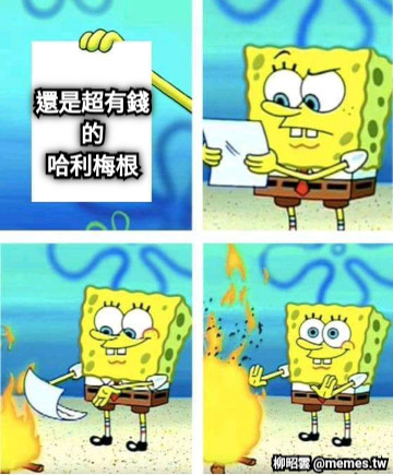 還是超有錢 的 哈利梅根