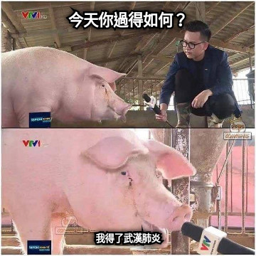 今天你過得如何？ 我得了武漢肺炎