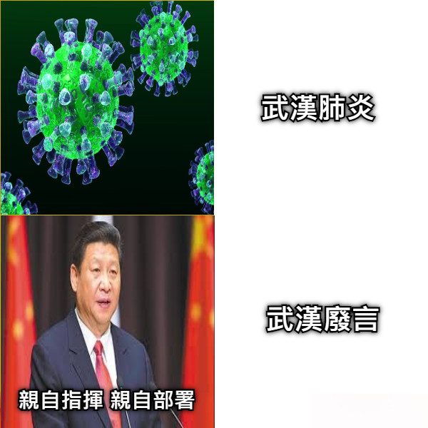 武漢肺炎 武漢廢言 親自指揮 親自部署
