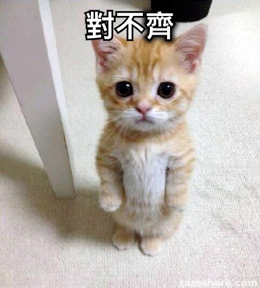 對不齊