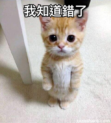 我知道錯了