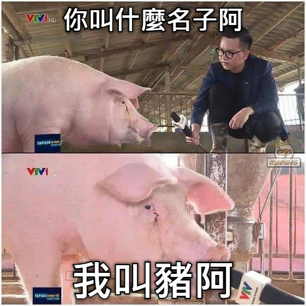 你叫什麼名子阿 我叫豬阿