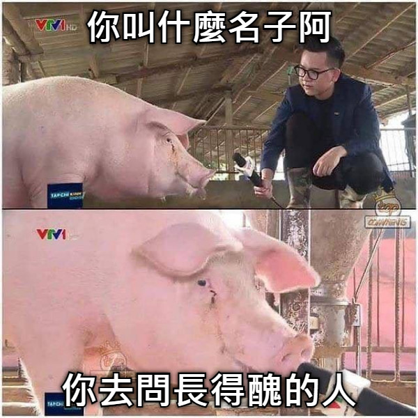 你叫什麼名子阿 你去問長得醜的人
