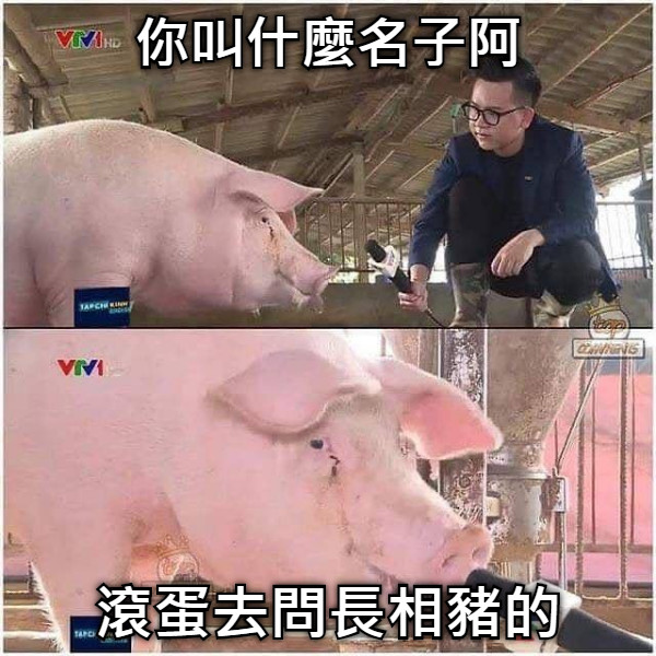 你叫什麼名子阿 滾蛋去問長相豬的