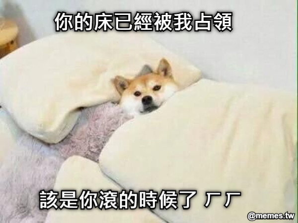 你的床已經被我占領  該是你滾的時候了 ㄏㄏ