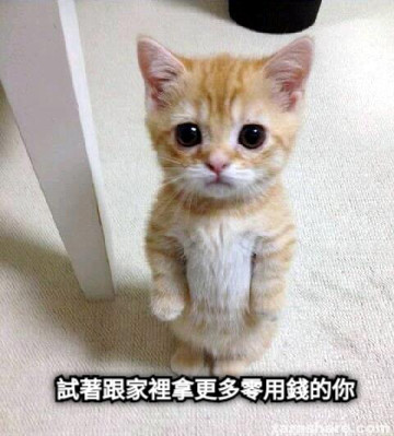 試著跟家裡拿更多零用錢的你