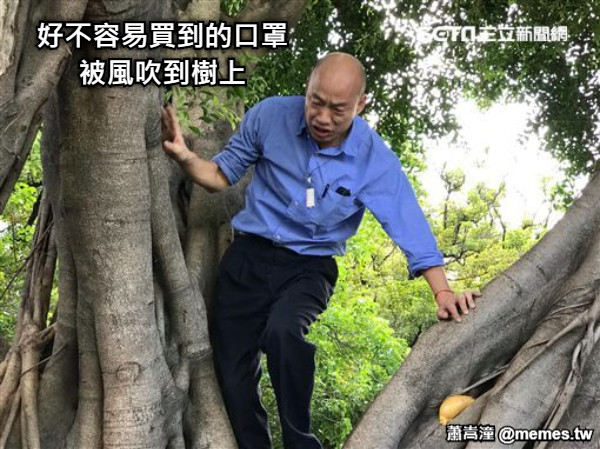 好不容易買到的口罩 被風吹到樹上