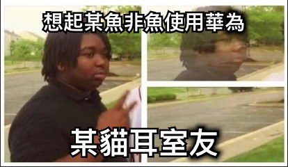 想起某魚非魚使用華為 某貓耳室友