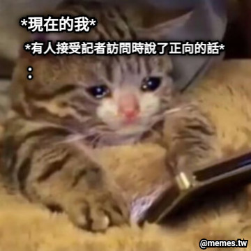 *現在的我* *有人接受記者訪問時說了正向的話*  ：