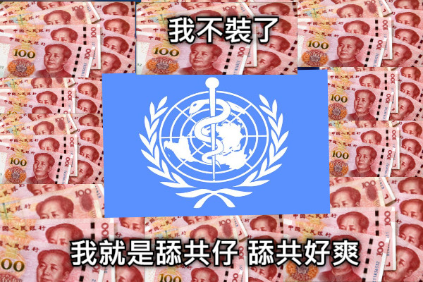 我不裝了  我就是舔共仔 舔共好爽 我就是舔共仔 舔共好爽 我不裝了 我就是舔共仔 舔共好爽