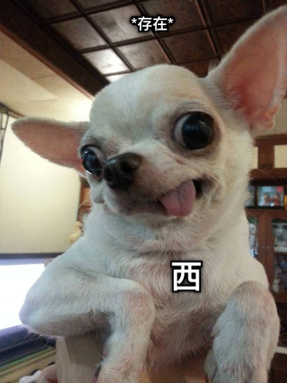*存在* 西