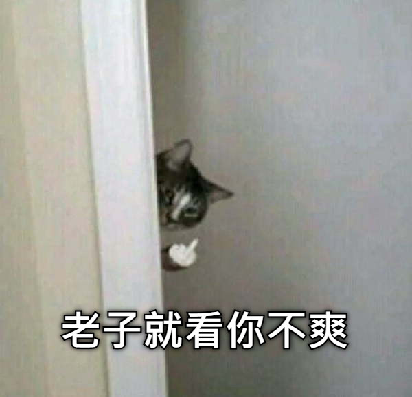 老子就看你不爽