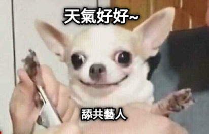 天氣好好~ 舔共藝人
