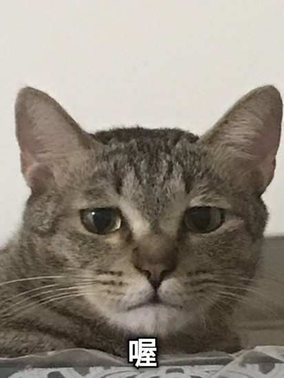 喔