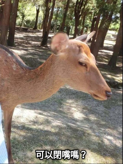 可以閉嘴嗎？