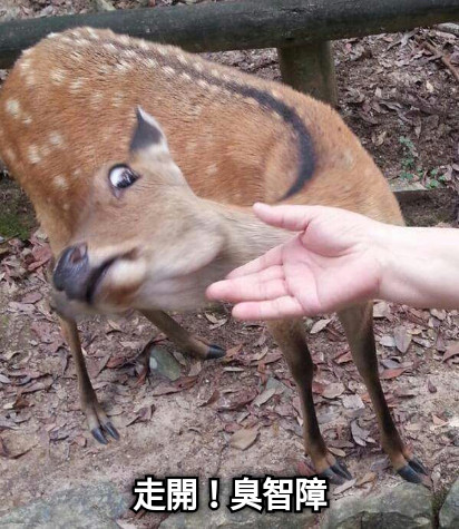 走開！臭智障