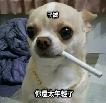 你還太年輕了 子誠