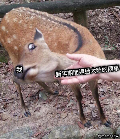 新年期間返過大陸的同事 我