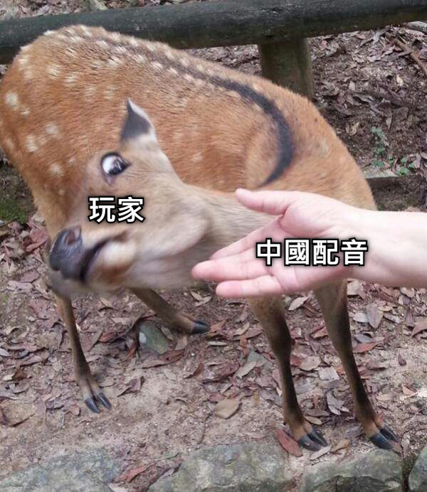 中國配音 玩家