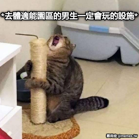 *去體適能園區的男生一定會玩的設施*