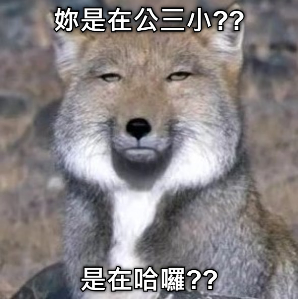 妳是在公三小?? 是在哈囉??
