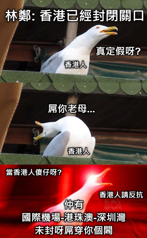 林鄭: 香港已經封閉關口 屌你老母... 仲有 國際機場-港珠澳-深圳灣 未封呀屌穿你個閪  當香港人傻仔呀? 香港人請反抗 香港人 香港人 真定假呀?