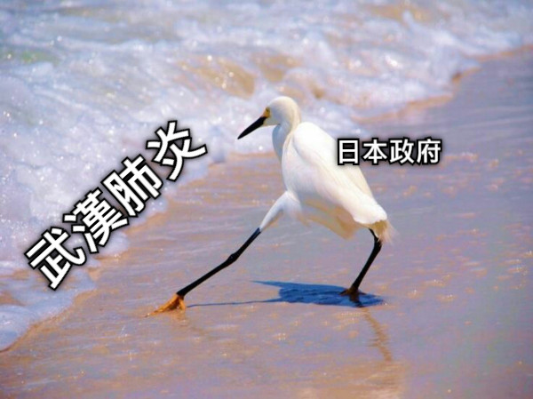 武漢肺炎 日本政府