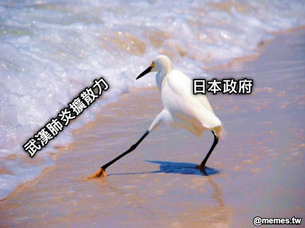 武漢肺炎擴散力 日本政府