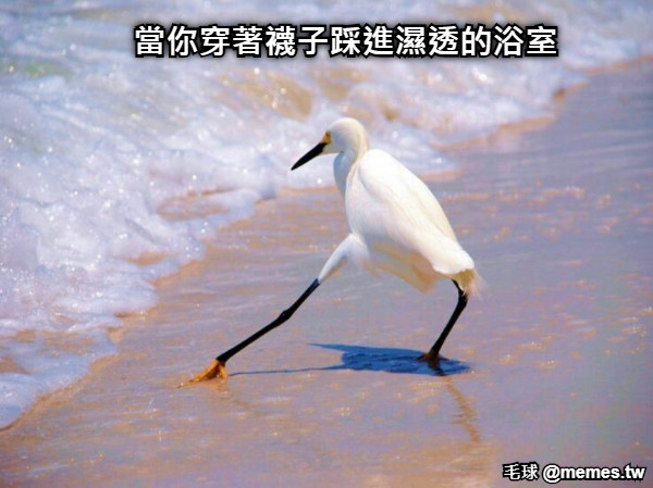 當你穿著襪子踩進濕透的浴室