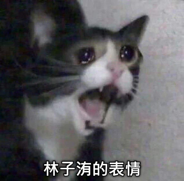 林子洧的表情